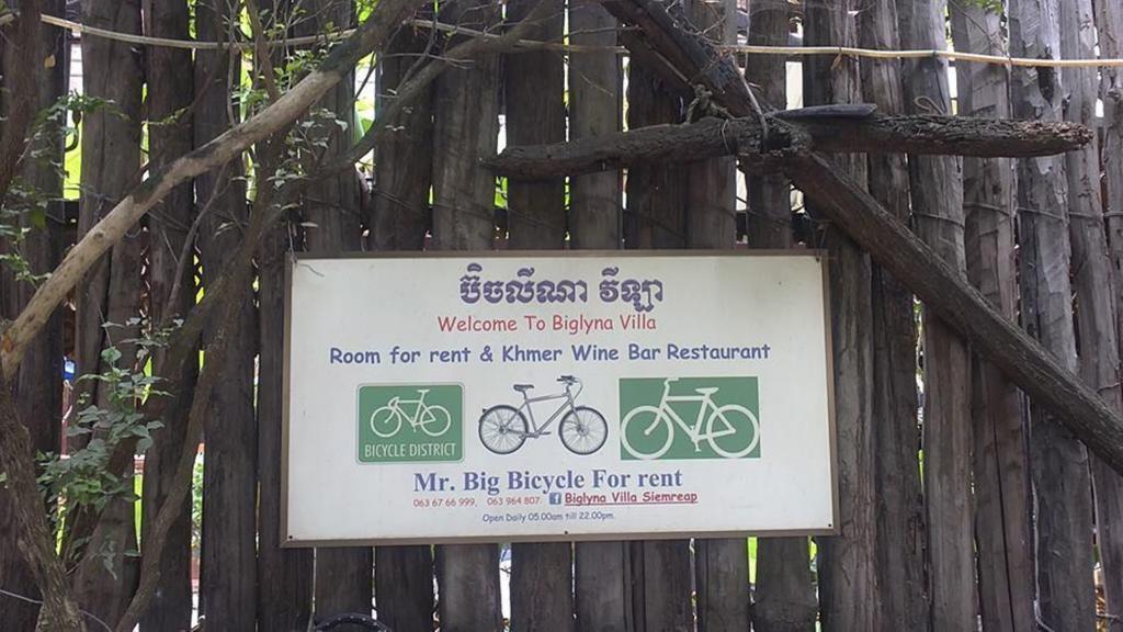 Big Lyna Villa Ciudad de Siem Riep Exterior foto
